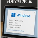 윈도우 버전 확인