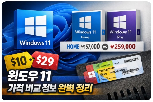 윈도우 11 가격 비교