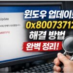 윈도우 업데이트